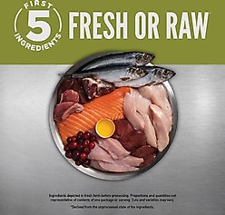 ORIJEN Senior Grain-Free High-Protein Dry Dog Food, 23.5-lb bag slide 2 of 9