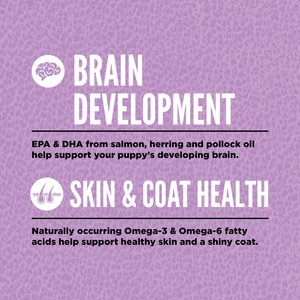 ORIJEN Puppy Large Grain-Free High-Protein Dry Dog Food, 23.5-lb bag