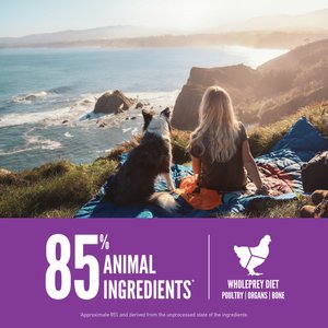 ORIJEN Puppy Large Grain-Free High-Protein Dry Dog Food, 23.5-lb bag