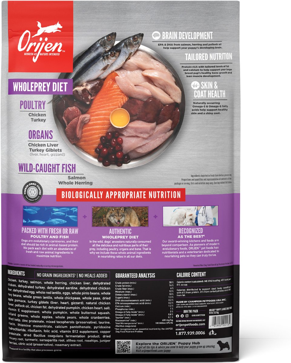 Orijen Puppy Large ドライフード ORIJEN Grain Free Large, High Protein, Fresh & Raw Animal