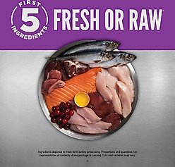 ORIJEN Puppy Large Grain-Free High-Protein Dry Dog Food, 23.5-lb bag slide 2 of 9