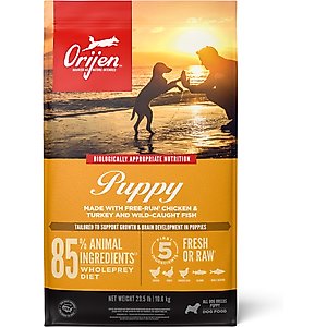ORIJEN Puppy Grain-Free High-Protein Dry Dog Food, 23.5-lb bag