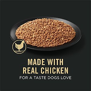 Purina Pro Plan Adult 7+ Complete Essentials Chicken & Rice Entree Wet Dog Food, 13-oz can, case of 12