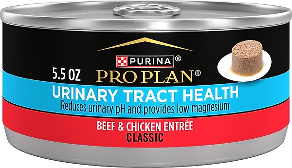 Pro Plan Focus Urinary Tract Health Canned Cat Food Benefits