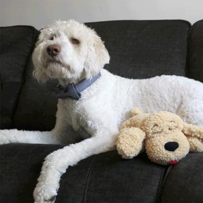 Show full view: Snuggle Puppy Original Snuggle Puppy Plush Dog Behavioral Aid Anxiety Relief, Doodle slide 7 of 10