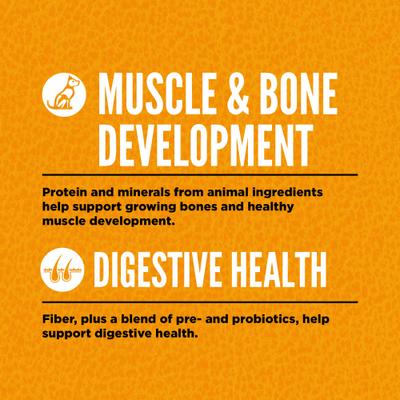 Show full view: ORIJEN Puppy Grain-Free High-Protein Dry Dog Food, 4.5-lb bag slide 5 of 14