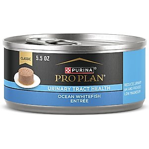 Purina Pro Plan Focus Adult Classic Urinary Tract Health Formula Ocean Whitefish Entree Canned Cat Food, 5.5-oz, case of 24