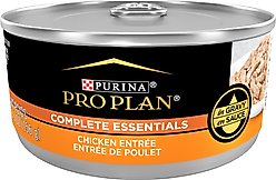 Purina Pro Plan Adult Chicken Entree in Gravy Canned Cat Food, 5.5-oz, case of 24