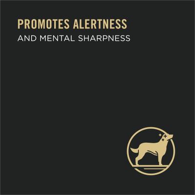 Show full view: Purina Pro Plan Bright Mind Senior Adult 7+ Beef & Brown Rice Entree Wet Dog Food, 10-oz tub, case of 8 slide 5 of 12