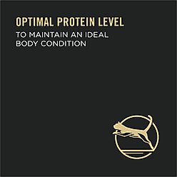 Purina Pro Plan Focus Healthy Metabolism Formula Chicken Entrée in Gravy Adult Canned Cat Food, 3-oz, case of 24 slide 2 of 9
