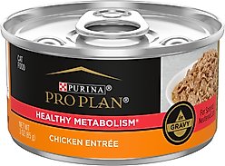 Purina Pro Plan Focus Healthy Metabolism Formula Chicken Entrée in Gravy Adult Canned Cat Food, 3-oz, case of 24