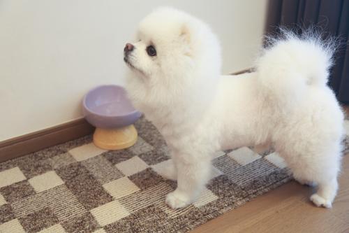 Show full view: Zarkea Modern Checkerboard Indoor/Outdoor Washable Area Rug, Brown, 18 x 47-in slide 2 of 9