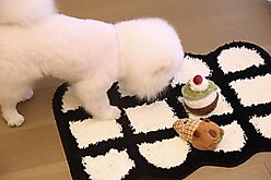 Zarkea Modern Curved Geometric Indoor/Outdoor Washable Area Rug, White, 20 x 32-in