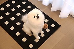 Zarkea Modern Geometric Indoor/Outdoor Washable Area Rug, Black, 20 x 32-in