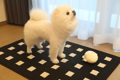 Show full view: Zarkea Modern Geometric Indoor/Outdoor Washable Area Rug, Black, 20 x 32-in slide 5 of 9