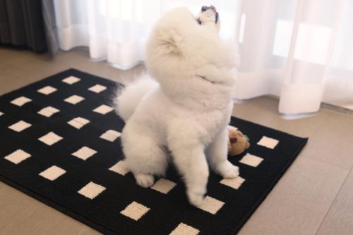 Show full view: Zarkea Modern Geometric Indoor/Outdoor Washable Area Rug, Black, 20 x 32-in slide 2 of 9