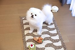 Zarkea Modern Wavy Geometric Indoor/Outdoor Washable Area Rug, Brown, 20 x 32-in slide 2 of 9