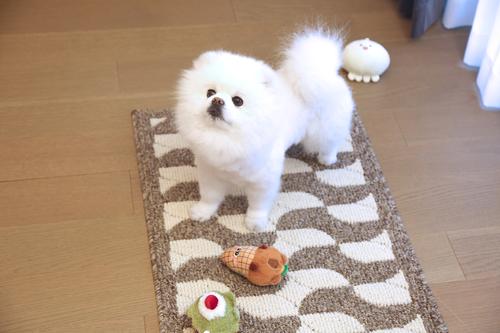 Show full view: Zarkea Modern Wavy Geometric Indoor/Outdoor Washable Area Rug, Brown, 20 x 32-in slide 7 of 9