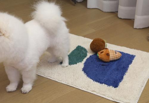 Show full view: Zarkea Modern Geometric Washable Microfiber Rug, White/Blue, 18 x 27-in slide 7 of 9