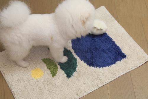 Show full view: Zarkea Modern Geometric Washable Microfiber Rug, White/Blue, 18 x 27-in slide 3 of 9