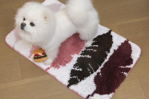 Show full view: Zarkea Feather Pattern Microfiber Washable Rug, Pink/White, 18 x 27-in slide 2 of 9