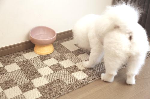 Show full view: Zarkea Modern Checkerboard Indoor/Outdoor Washable Area Rug, Brown, 18 x 47-in slide 8 of 9