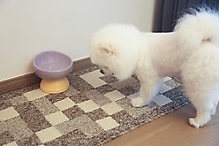 Zarkea Modern Checkerboard Indoor/Outdoor Washable Area Rug, Brown, 18 x 47-in