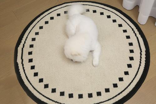 Show full view: Zarkea Minimalist Round Washable Rug, Black/Cream, 39 x 39-in slide 6 of 9