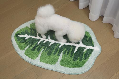 Show full view: Zarkea Tropical Leaf-Shaped Microfiber Washable Rug, Green, 23 x 35-in slide 2 of 9
