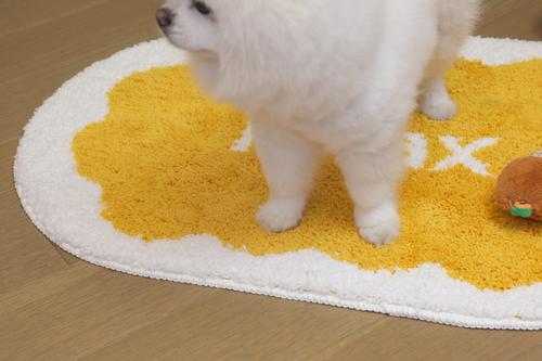 Show full view: Zarkea Ultra-Soft Microfiber Washable Oval Area Rug, Yellow/White, 20 x 32-in slide 3 of 9