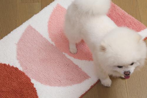 Show full view: Zarkea Soft Geometric Microfiber Washable Area Rug, Pink/White, 20 x 32-in slide 4 of 9