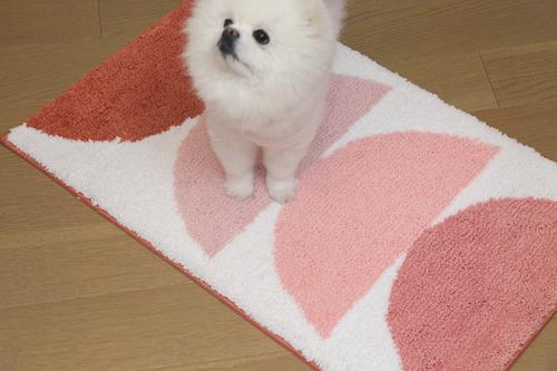 Show full view: Zarkea Soft Geometric Microfiber Washable Area Rug, Pink/White, 20 x 32-in slide 3 of 9