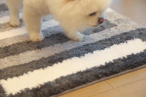 Show full view: Zarkea Microfiber Striped Washable Area Rug, Grey, Beige, White, 20 x 32-in slide 4 of 9