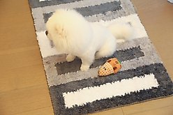 Zarkea Microfiber Striped Washable Area Rug, Grey, Beige, White, 20 x 32-in