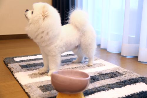 Show full view: Zarkea Microfiber Striped Washable Area Rug, Grey, Beige, White, 20 x 32-in slide 3 of 9