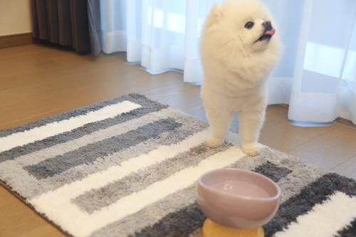 Show full view: Zarkea Microfiber Striped Washable Area Rug, Grey, Beige, White, 20 x 32-in slide 2 of 9