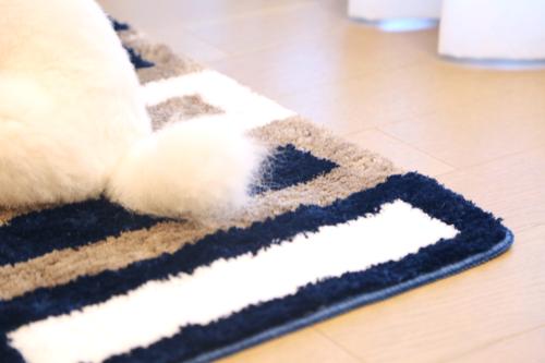 Show full view: Zarkea Microfiber Striped Washable Area Rug, Navy, Beige, White, 20 x 32-in slide 2 of 9