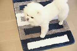 Zarkea Microfiber Striped Washable Area Rug, Navy, Beige, White, 20 x 32-in