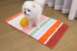 Zarkea Colorful Geometric Microfiber Washable Area Rug, Sunrise, 20 x 32-in