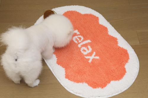 Show full view: Zarkea Microfiber Washable Oval Area Rug, Pink/White, 20 x 32-in slide 2 of 9