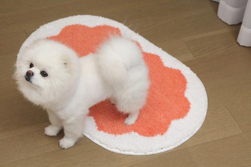 Show full view: Zarkea Microfiber Washable Oval Area Rug, Pink/White, 20 x 32-in slide 3 of 9