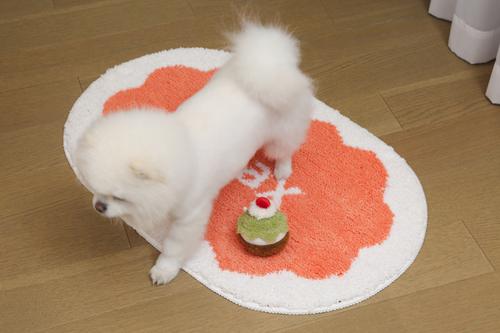 Show full view: Zarkea Microfiber Washable Oval Area Rug, Pink/White, 20 x 32-in slide 4 of 9