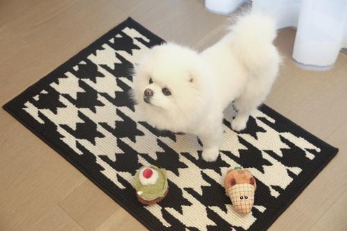 Show full view: Zarkea Modern Houndstooth Indoor/Outdoor Washable Area Rug, Black, 32 x 47-in slide 4 of 9