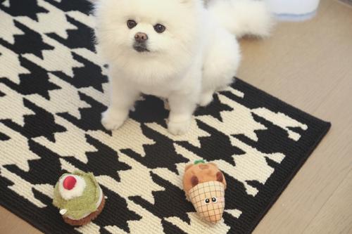 Show full view: Zarkea Modern Houndstooth Indoor/Outdoor Washable Area Rug, Black, 32 x 47-in slide 5 of 9