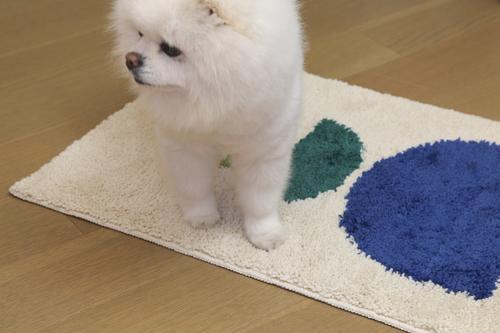 Show full view: Zarkea Modern Geometric Washable Microfiber Rug, White/Blue, 18 x 27-in slide 8 of 9
