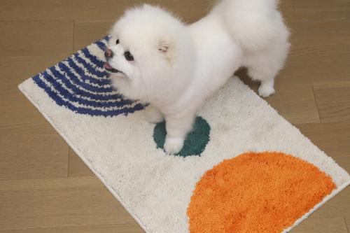 Show full view: Zarkea Modern Abstract Washable Microfiber Rug, White/Blue, 18 x 27-in slide 9 of 9