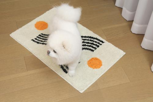 Show full view: Zarkea Microfiber Washable Rug, White/Black, 18 x 27-in slide 2 of 9