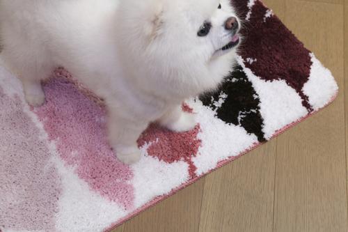 Show full view: Zarkea Feather Pattern Microfiber Washable Rug, Pink/White, 18 x 27-in slide 4 of 9