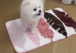Zarkea Feather Pattern Microfiber Washable Rug, Pink/White, 18 x 27-in slide 1 of 9