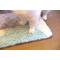 Show in main carousel: Zarkea Ultra-Soft Microfiber Washable Area Rug, Beige, 18 x 27-in slide 3 of 9